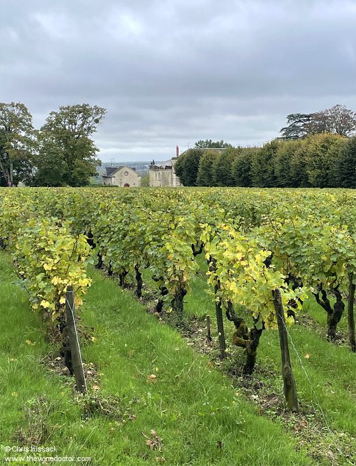 Domaine des Aubuisères