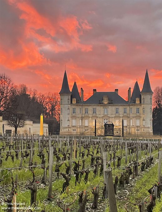 The Year in Review: 2024