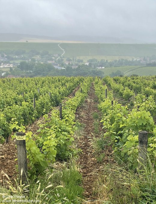 Jean-Philippe Agisson