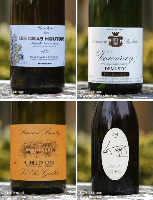 The 2009 vintage, Domaine de la Pépière Les Gras Moutons Cuvée Eden, Clos Naudin Demi-Sec, Bernard Baudry Le Clos Guillot, Champalou Les Tries, tasted December 2024 Loire 2009 at Fifteen Years