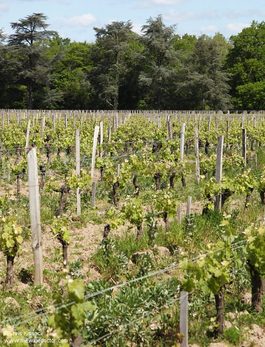Touraine Azay-le-Rideau