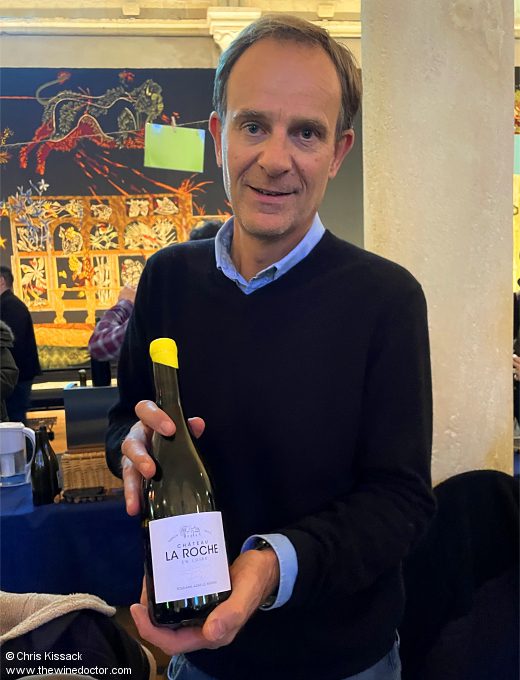 Château de la Roche en Loire