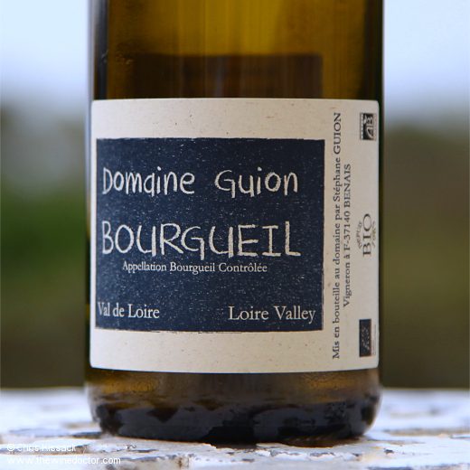 Domaine Guion Bourgueil 2020 Domaine Guion Bourgueil 2020