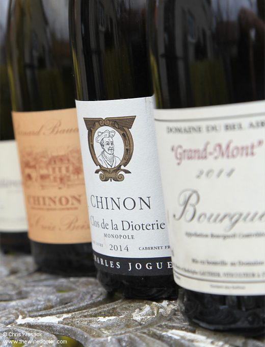 Loire 2014 at Ten Years: Red wines including Bel Aur, Charles Joguet, Bernard Baudry, Chevalerie and more Loire 2014 at Ten Years