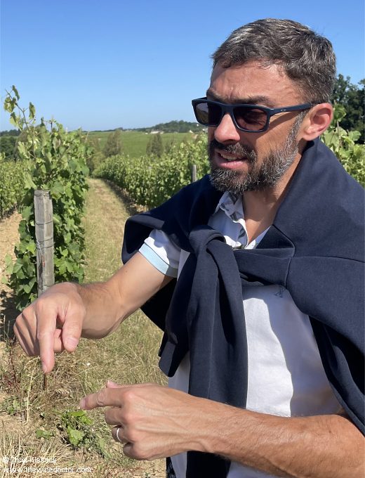 Pierre-Jean Sauvion, Château de Fesles, June 2025