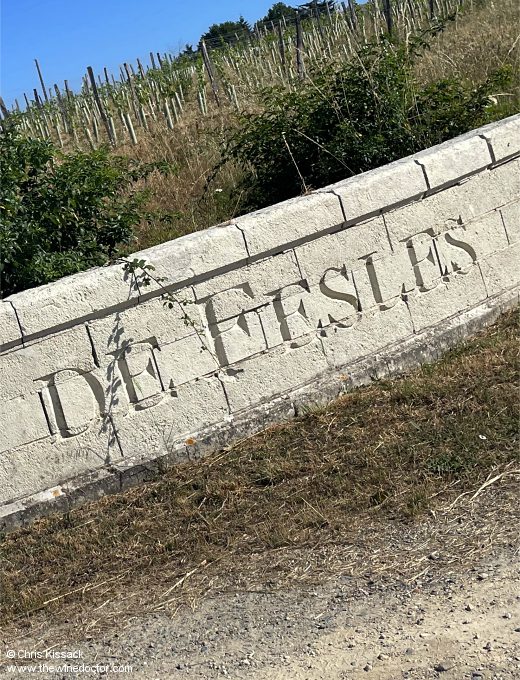 Château de Fesles, June 2025