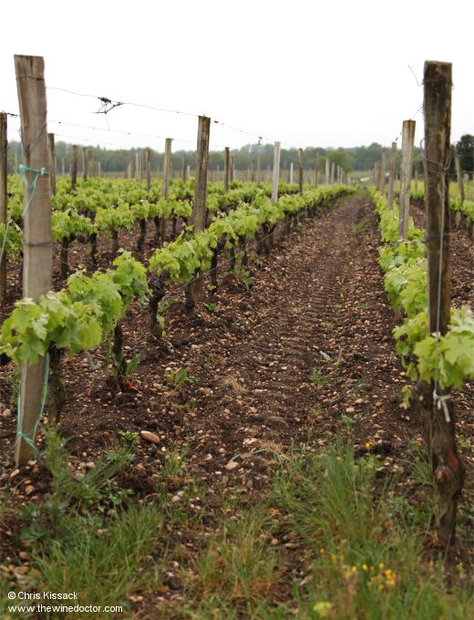 Château de Rochemorin
