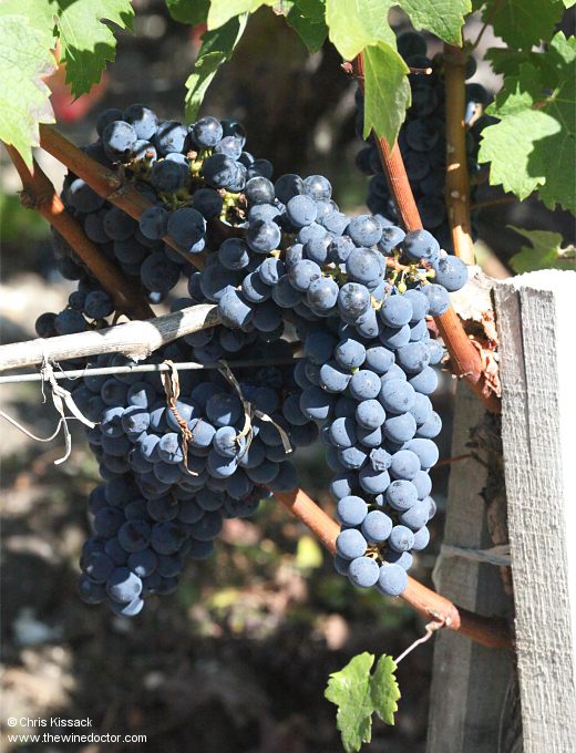 Château Haut-Beausejour