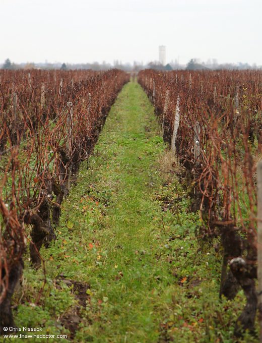 Château Tour Saint-Fort