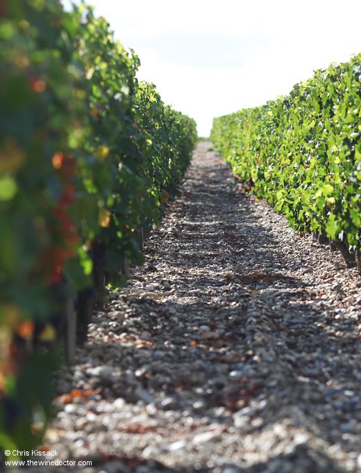 Château Mouton-Rothschild