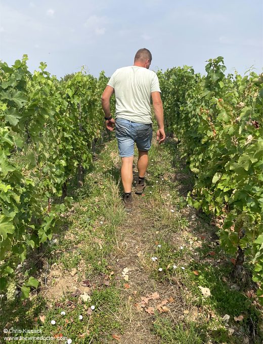 Stéphane Bodet at Le Buisson, Bonnigal-Bodet, August 2025 Bonnigal-Bodet