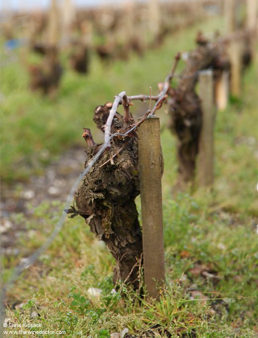 Château Clerc-Milon