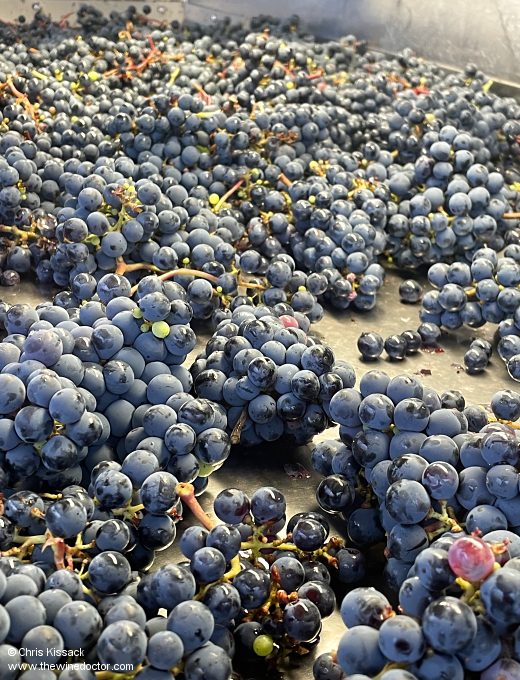 Loire Valley Rosé Report, 2026