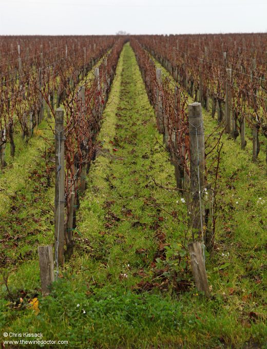 Château Laffitte Carcasset