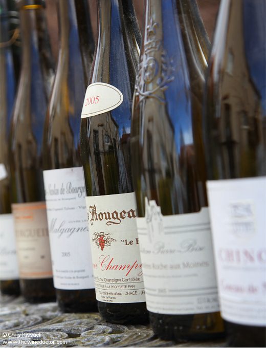 Never Let Me Go: 2005 Loire at Twenty Years; Alliet, Pierre-Bise, Clos Rougeard, Cognard-Taluau, Yannick Amirault and more, tasted December 2025 Never Let Me Go: 2005 Loire at Twenty Years