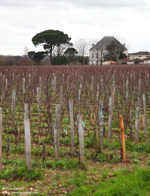 Château Tournefeuille, December 2024 Château Tournefeuille