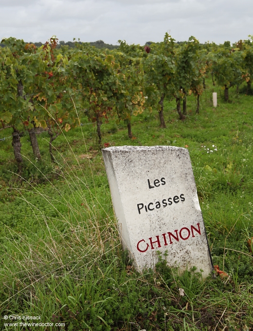 Les Puys du Chinonais and the 2008 Chinon Les Picasses from Olga Raffault