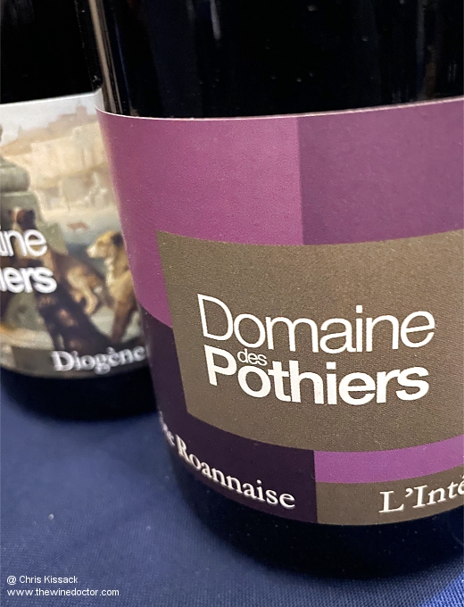 Wines from Domaine des Pothiers in the Côte Roannaise, 2023 vintage Wine and Song: The Upper Loire, 2023 Vintage