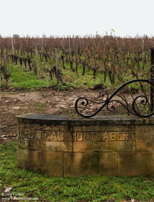 The old back gate to Château Montlabert and its vines, January 2024 Château Montlabert
